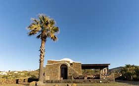 Il Vigneto